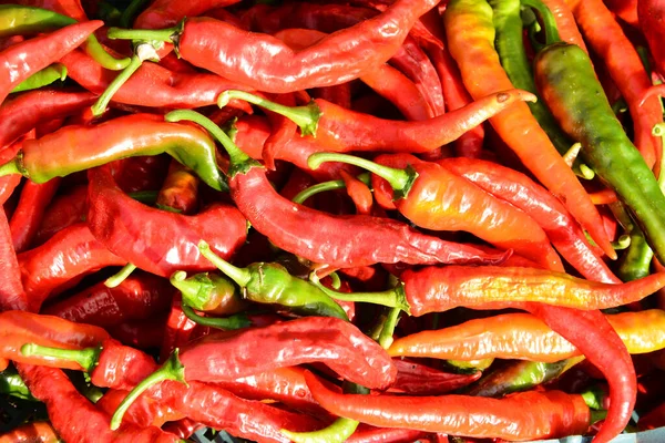 Bir sürü acı kırmızı biber.