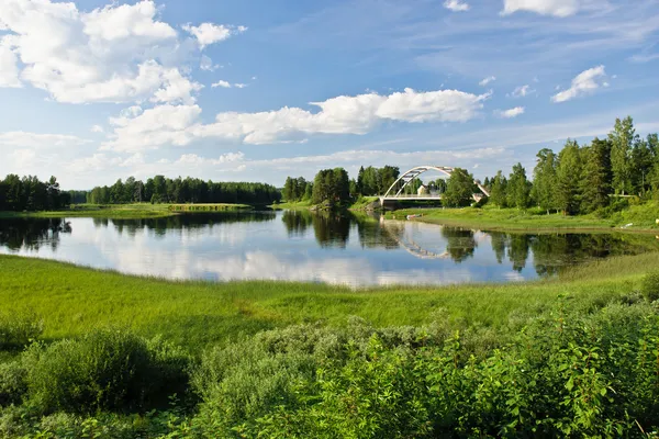 Solig sommardag Royaltyfria Stockbilder