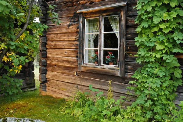 Старый бревенчатый дом — стоковое фото