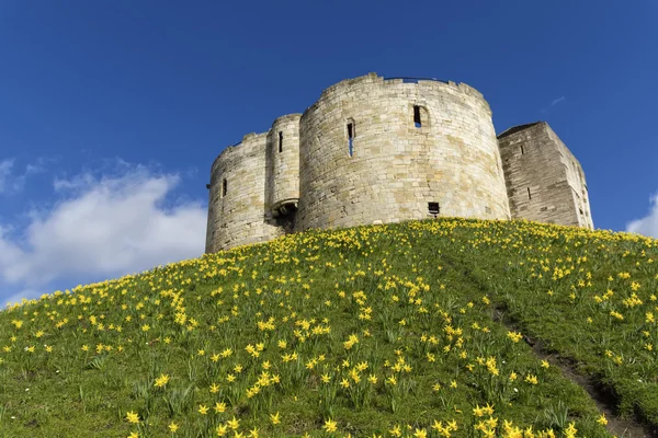 York Castle — Stock Photo, Image