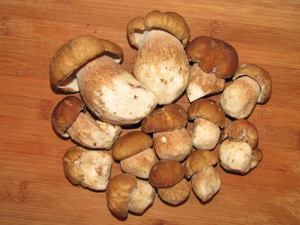 Boleto de cogumelos comestíveis fresco e delicioso em uma prancha — Fotografia de Stock