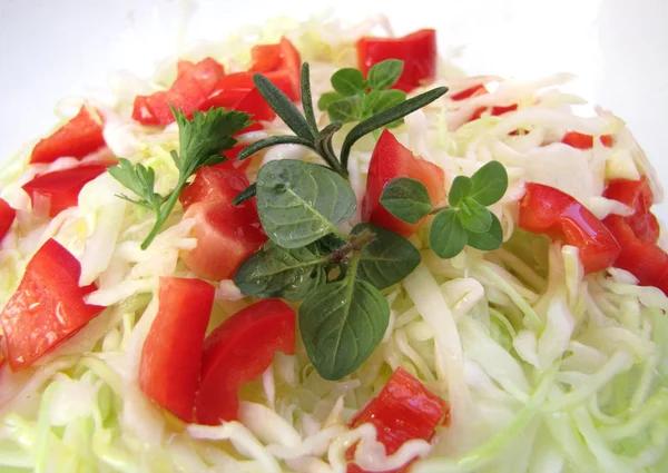 Taze lahana ve kırmızı biber salatası ile taze, yeşil kekik, biberiye ve maydanoz — Stok fotoğraf