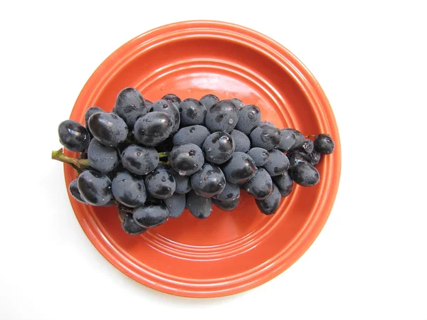 Uvas negras maduras en placa cerámica naranja aislada sobre fondo blanco —  Fotos de Stock