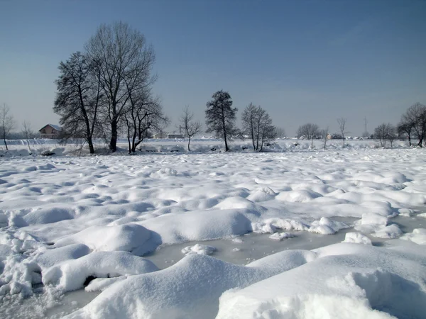 Völlig zugefrorener Fluss mit Schneefällen und Bäumen gegen blauen Himmel — Stockfoto