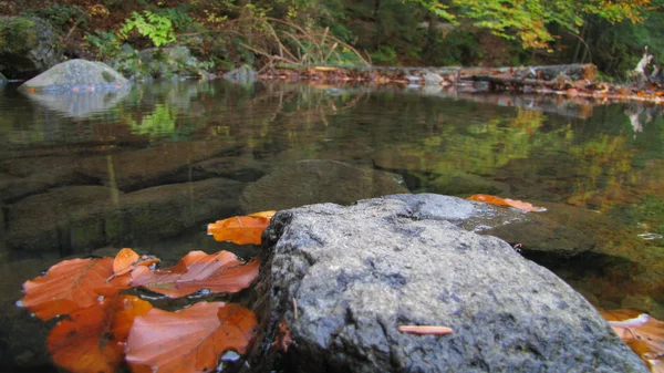 Agua clara y silenciosa del arroyo montañoso y las hojas otoñales — Foto de Stock