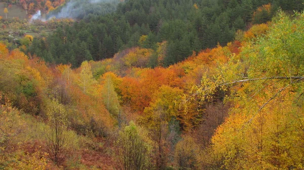 Bosque de otoño y un humo de la chimenea de un pequeño pueblo muy lejos — Foto de Stock