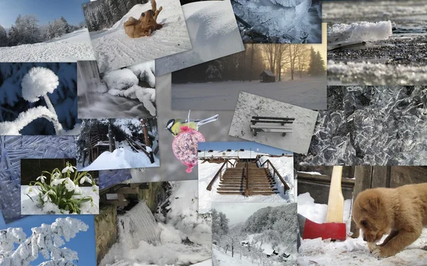 Collage thème hiver 3 — Photo
