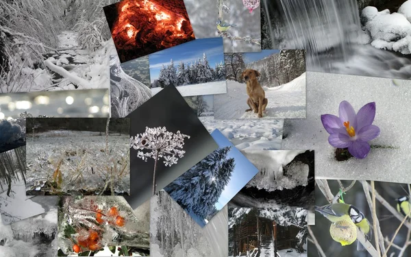 Vinter tema collage 2 — Stockfoto