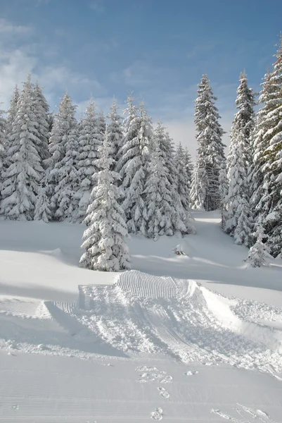 Outre la piste de ski — Photo