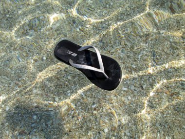 siyah sandal balık sürüsü, tripiti beach, thassos Island, Yunanistan su yüzeyinde yüzen