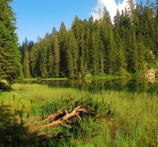 Bergsee — Stockfoto