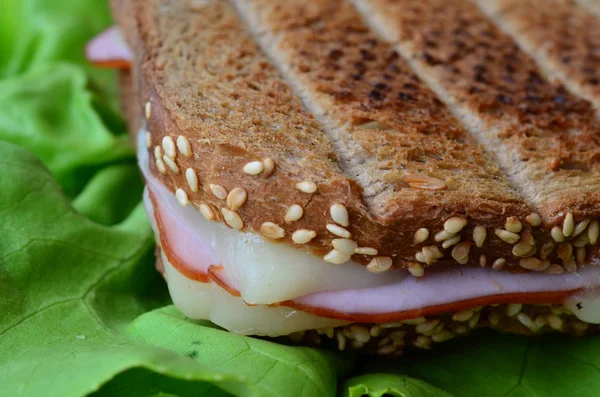 Сэндвич с ветчиной и сыром 3 — стоковое фото