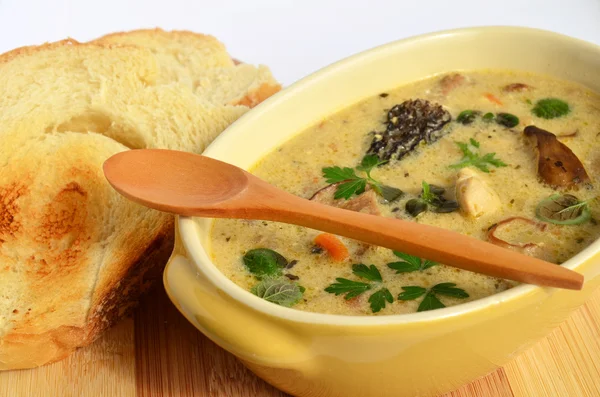 Wild mushrooms cream soup 2 — Stock Image Wild mushrooms cream soup 2 Stock Picture