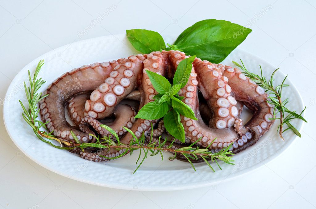 Fresh octopus 1