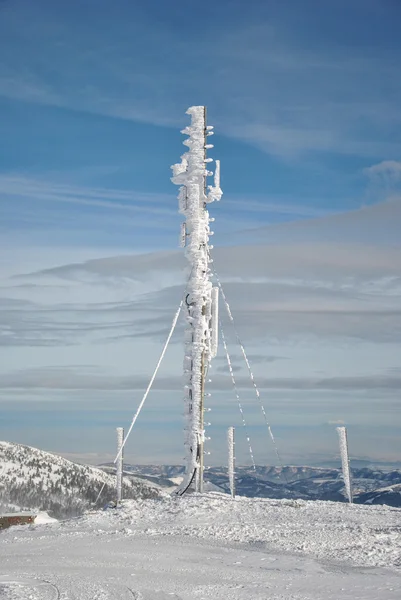 Antenne congelée — Photo