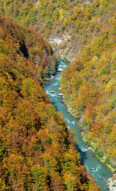 Tara River Canyon
