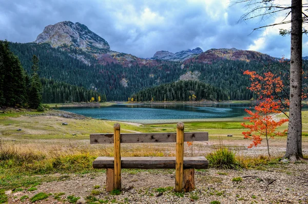 Emty ベンチ、赤の樹と湖 — ストック写真