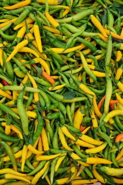 Scharfe grüne und gelbe Paprika — Stockfoto