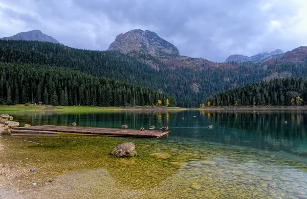 Lake om aftenen - Stock-foto