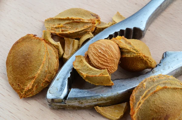 Apricot seeds — Stock Photo, Image