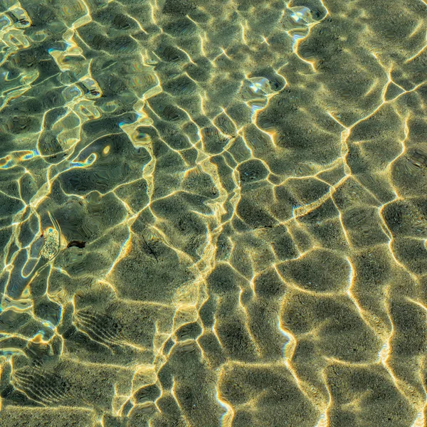 Зеленая и золотая поверхность моря — стоковое фото