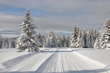 Karlı dağ yolu