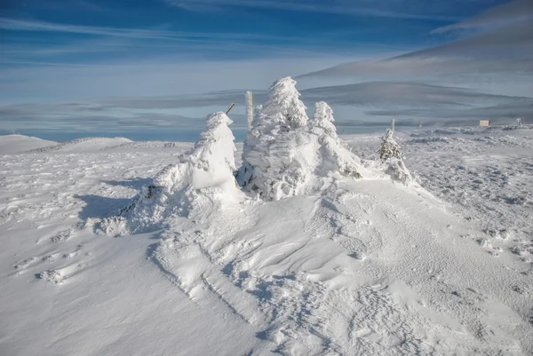 Winterdag — Stockfoto