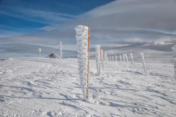 Замороженные столбы в ряд — стоковое фото