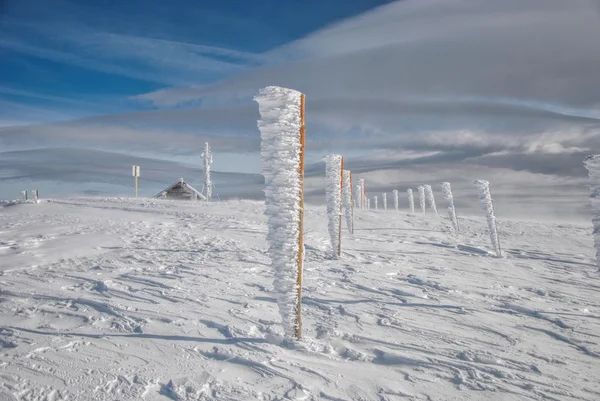 Piliers congelés en rangées — Photo