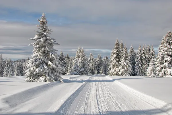 Verschneite Bergstraße — Stockfoto