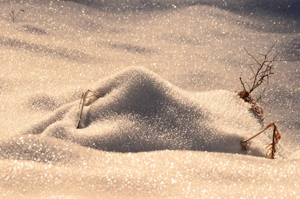 Zaspa śnieżna — Zdjęcie stockowe