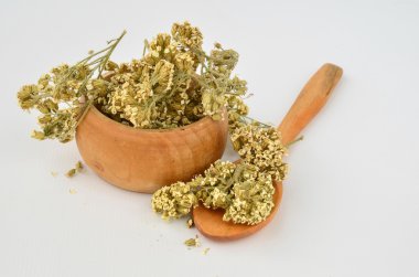 Kuru milfoil çiçek