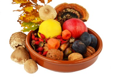 sonbahar meyve dekorasyon