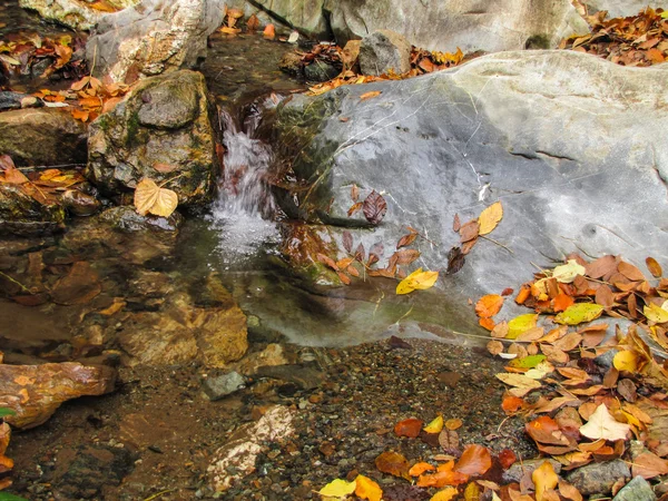 Autumn stream — Stockfoto