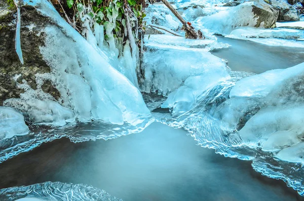 Hielo y hojas de hiedra — Foto de Stock