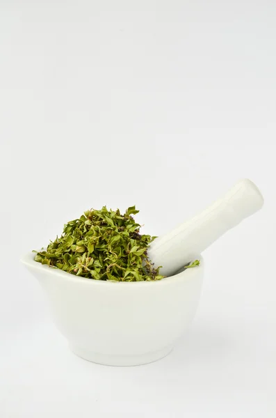 Thyme in white mortar — Stock Photo, Image