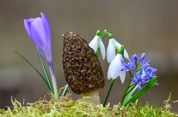 Frühjahrspersonal — Stockfoto