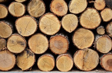 Yakacak odun yığını