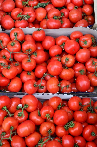 Pomidory w skrzynie tekturowe — Zdjęcie stockowe