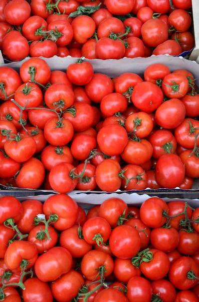 Tomates em caixas de cartão — Fotografia de Stock