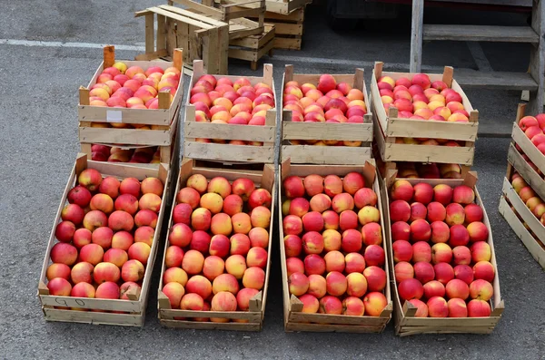 Äpfel in Holzkisten — Stockfoto