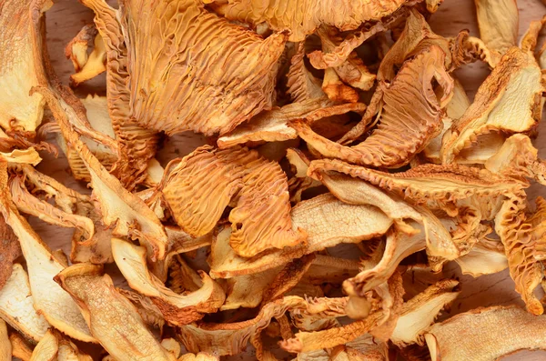 Funghi di Chanarelle secchi — Foto Stock