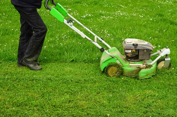 Mowing the grass — Stock Photo, Image