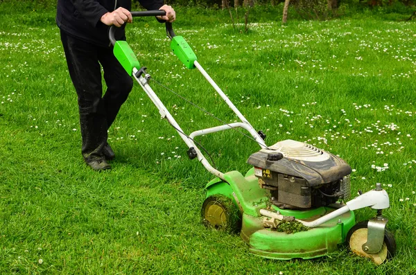 Gräsklippning — Stockfoto