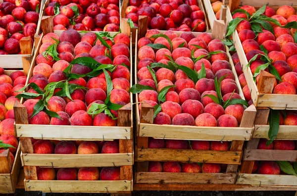 Персики в ящиках — стоковое фото
