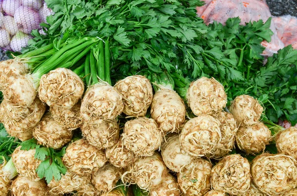 Fresh celery — Stock Photo, Image