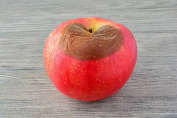 Rött Ruttet Äpple Grå Trä Bakgrund Närbild — Stockfoto