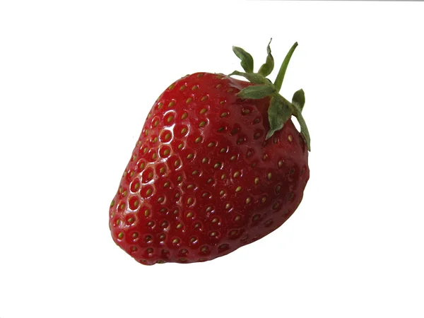 Strawberry fruit — Stock Photo, Image