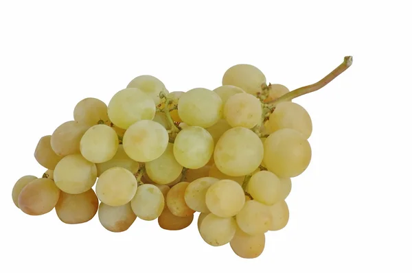 Agrupamento de uvas brancas fruta — Fotografia de Stock