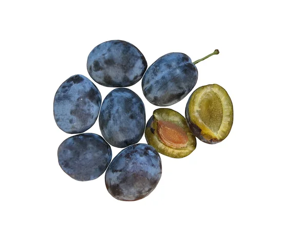 Fruta de ciruela azul jugosa madura — Foto de Stock